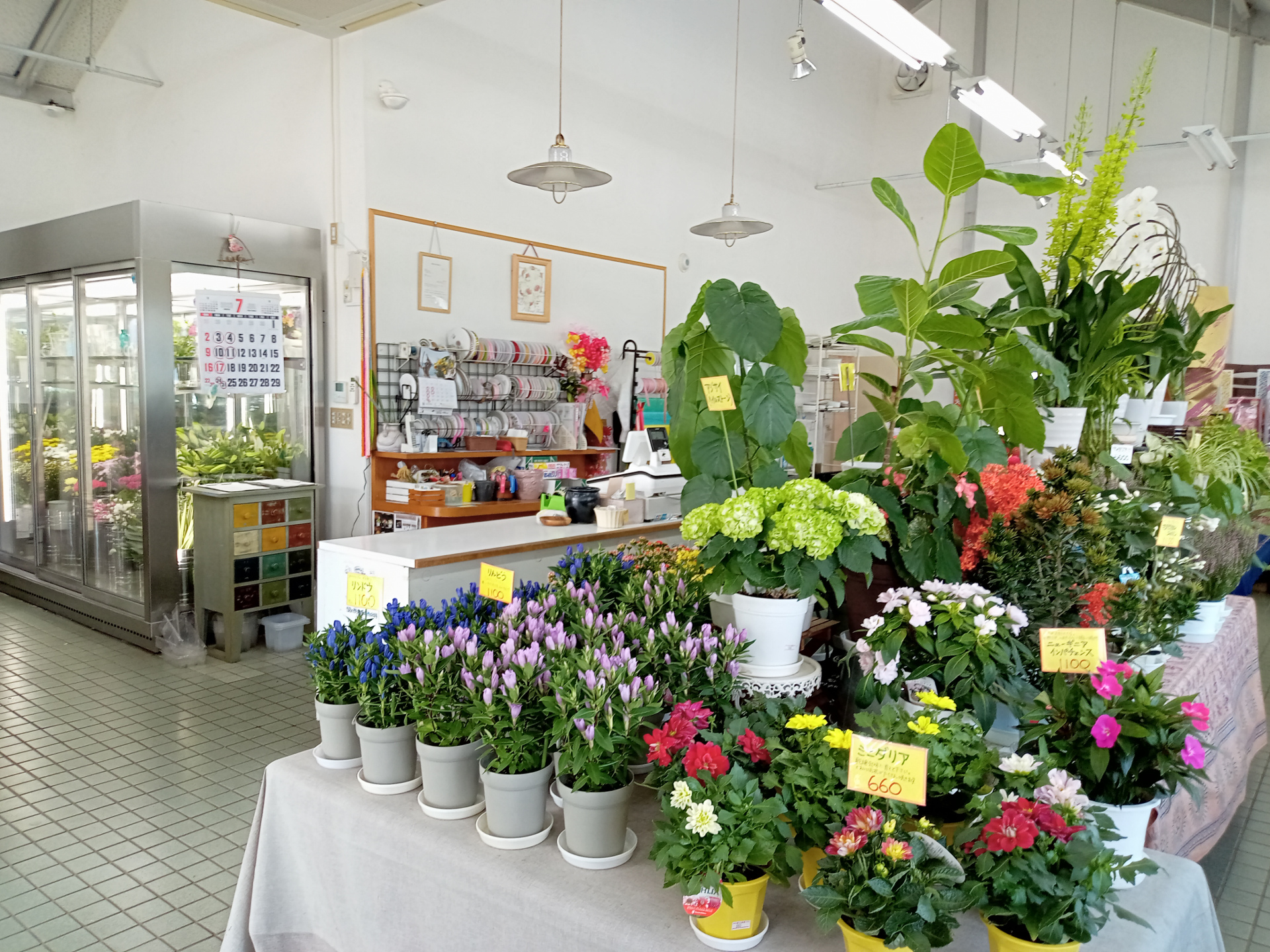 イオン六日町店